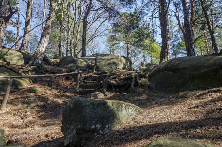 Skamieniałe Miasto w Ciężkowicach