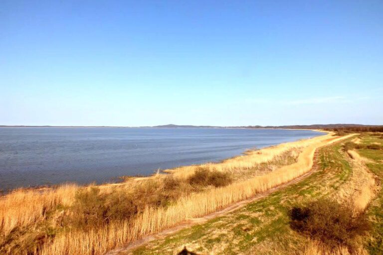 Punkt widokowy nad jeziorem Gardno