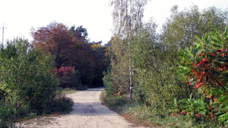 Jezioro Wysokie Brodno