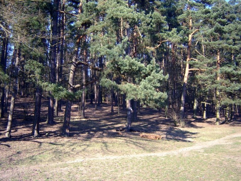 Dolina Siedmiu Młynów