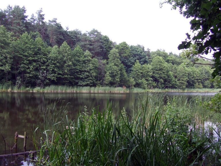 autor zdjęcia: rytwiany