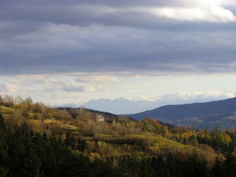 Makowska Góra (580 m n.p.m.)