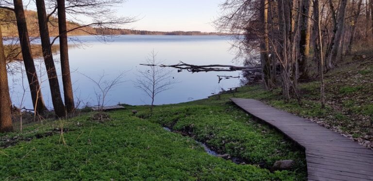 Ruiny dworu w Starej Hańczy