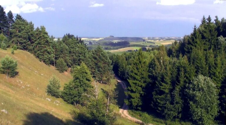 Głazowisko Łopuchowskie