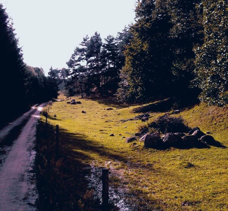 Głazowisko Łopuchowskie