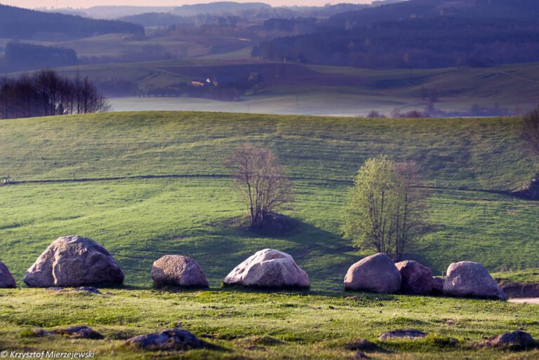 Głazowisko Łopuchowskie