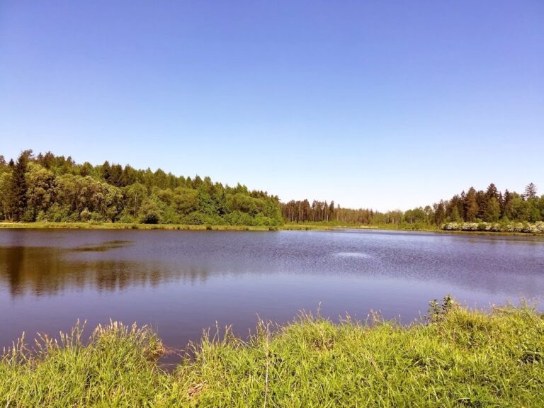 Zbiornik wodny Wyżary