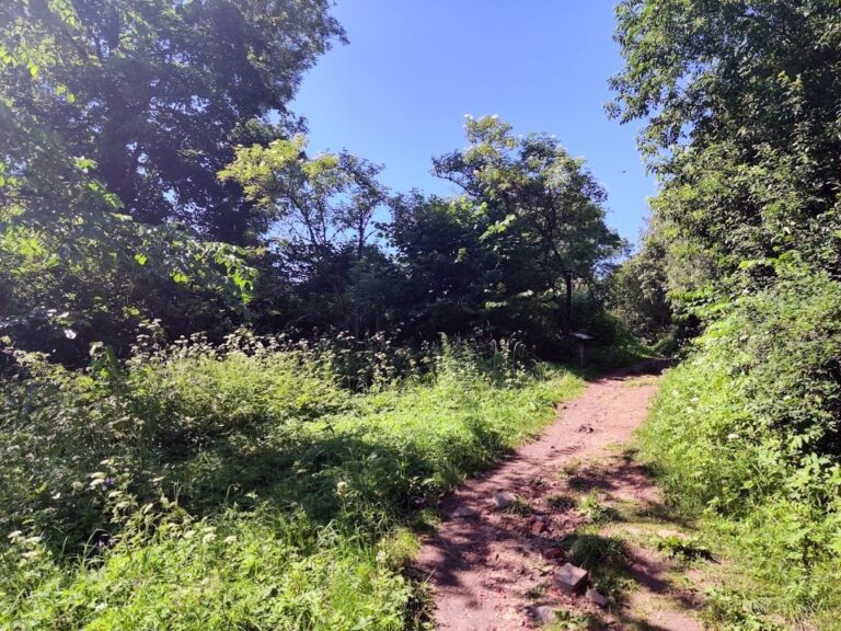 Ruiny dworu w Starej Hańczy