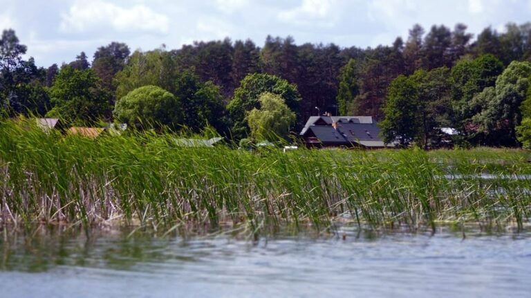 Jezioro Studzieniczne