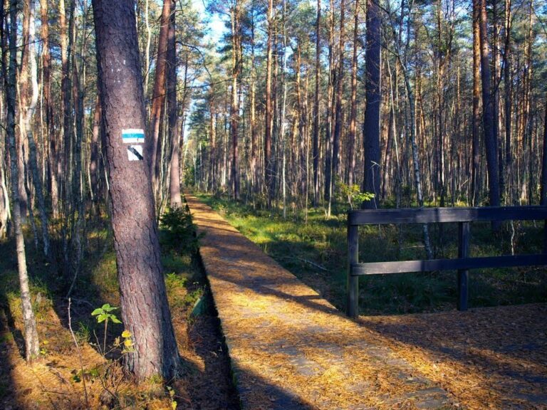 Ścieżka Czerwone Bagno