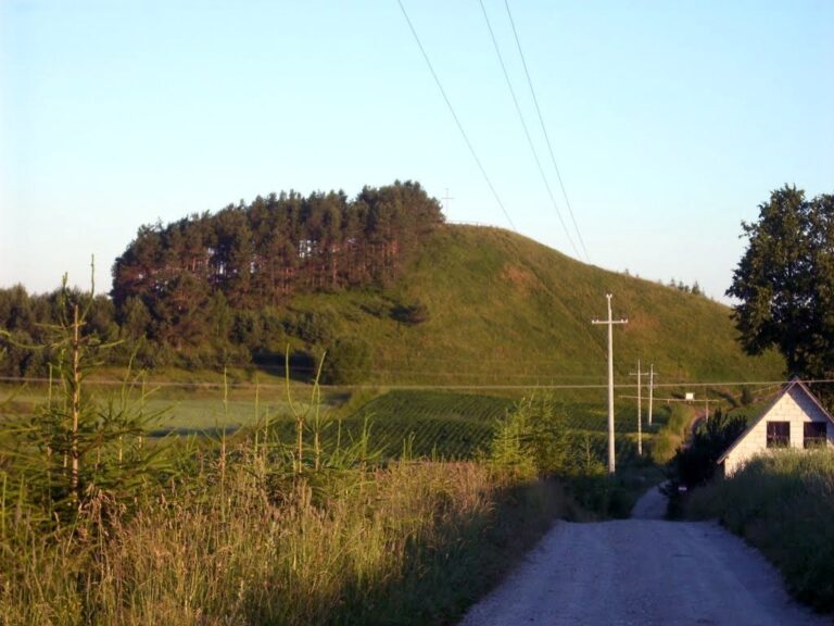 Góra Cisowa (256 m n.p.m.)