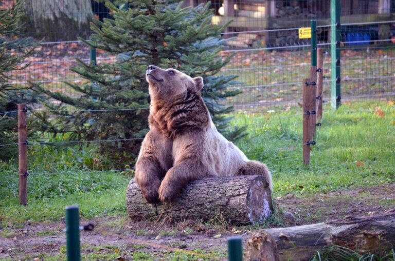 Akcent ZOO w Białymstoku