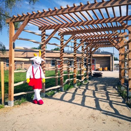 Europejskie Centrum Bajki