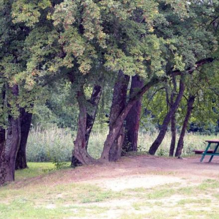 Park im. Józefa Trendla