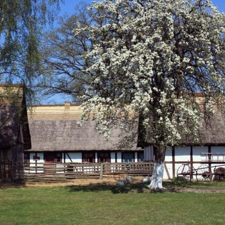 Muzeum Wsi Słowińskiej w Klukach