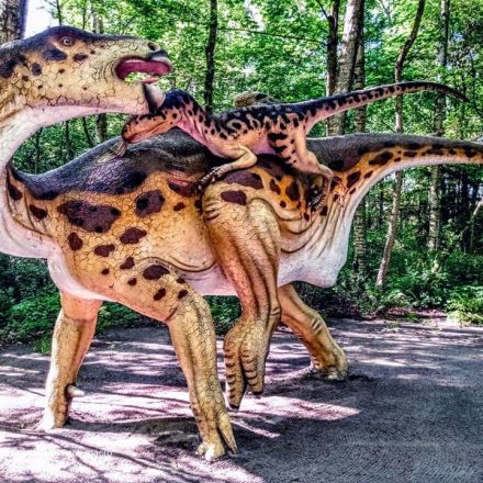 Park Dinozaurów Łeba Park