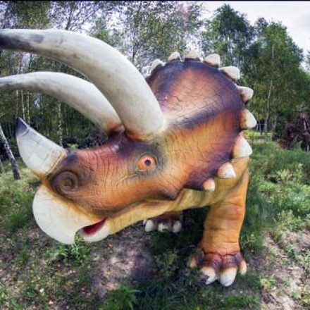 Kompleks Rekreacyjny Sielsko Na Wygodzie