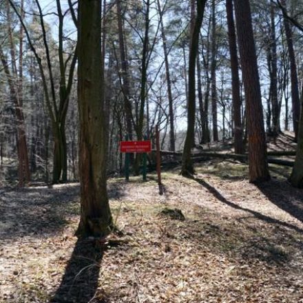 Rezerwat Przyrody Szumny Zdrój