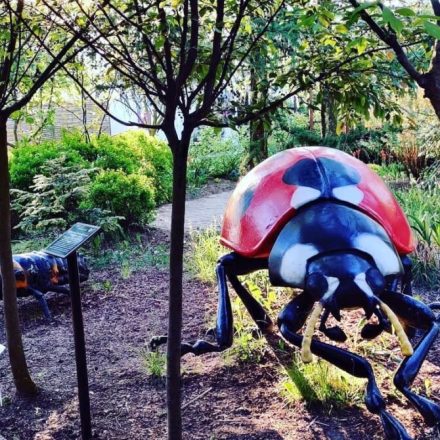 Park Edukacyjno-Rozrywkowy Mikrokosmos