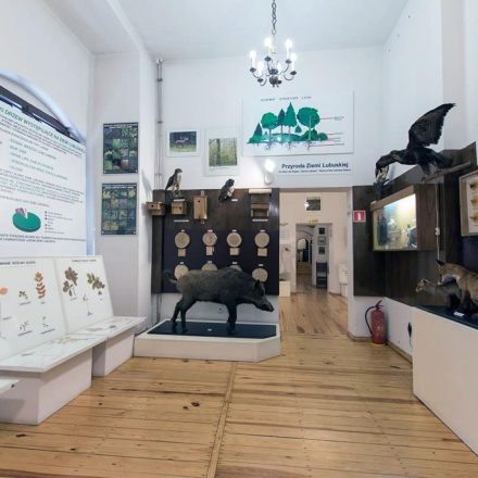 Muzeum Regionalne w Świebodzinie