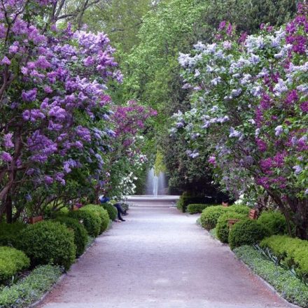 Ogród Botaniczny Uniwersytetu Warszawskiego