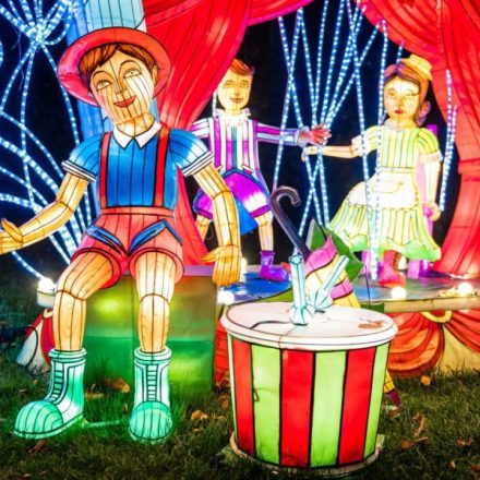 Pinokio – Ogród Świateł Chorzów