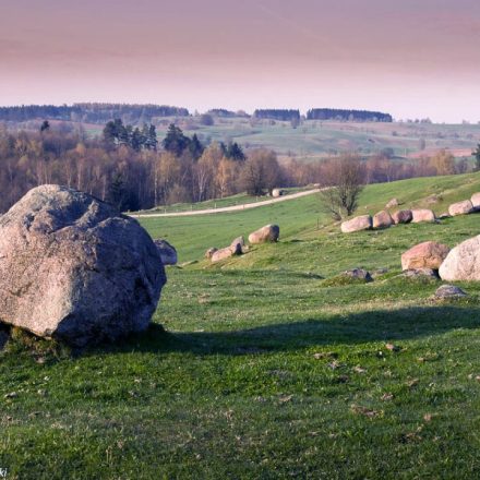 Głazowisko Łopuchowskie