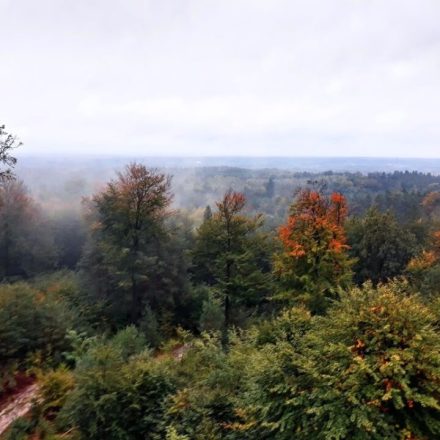 Wieża Widokowa „Wieża Promnitza”