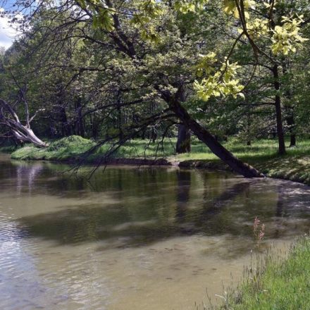 Dwór Ignacego Jana Paderewskiego w Kąśnej Dolnej