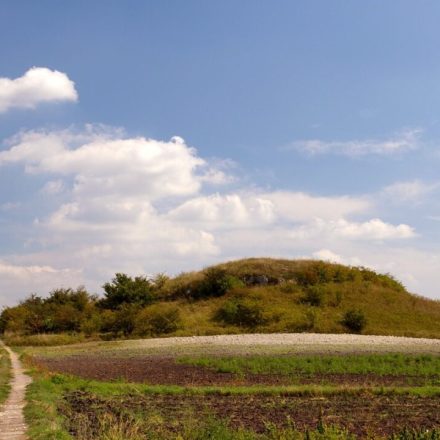 Rezerwat przyrody Przęślin