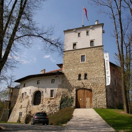Zamek w Korzkwi
