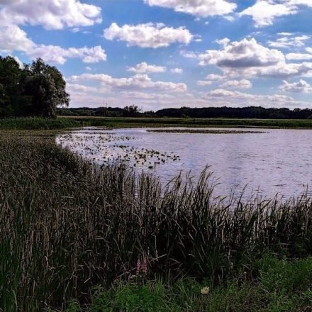 Rezerwat przyrody Jezioro Wielkie