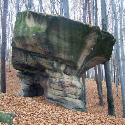 Rezerwat Kamień Grzyb