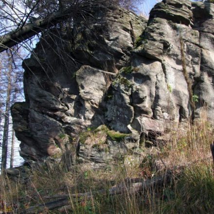 Turbacz (1310 m n.p.m.)