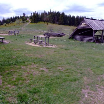 Lubań w Gorcach (1225 m n.p.m.)