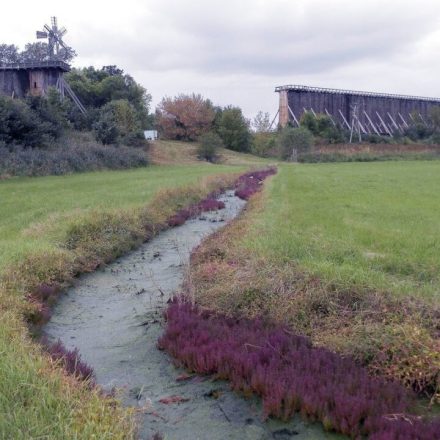Rezerwat przyrody Ciechocinek