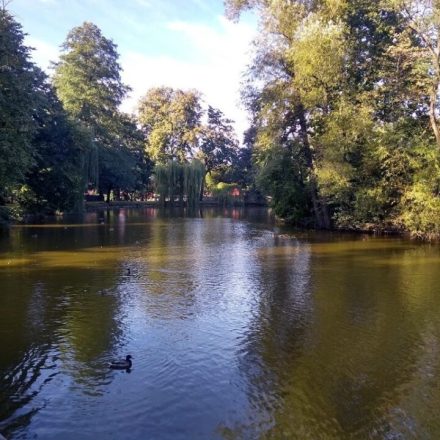 Park Miejski w Andrychowie