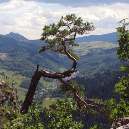 Sokolica (747 m n.p.m.)