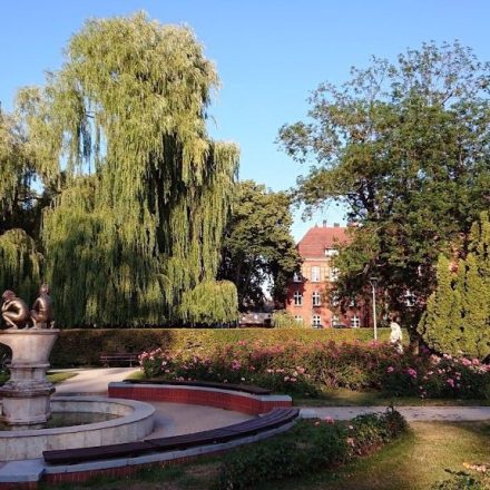 Park Miejski wzdłuż jez. Trzesiecko