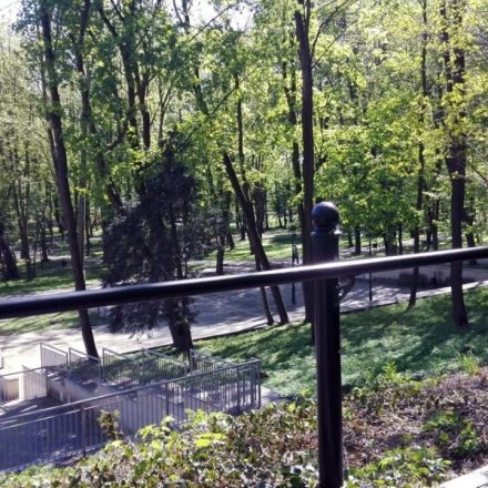 Park Miejski w Kazimierzy Wielkiej