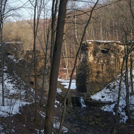 Rezerwat przyrody Dolina Eliaszówki