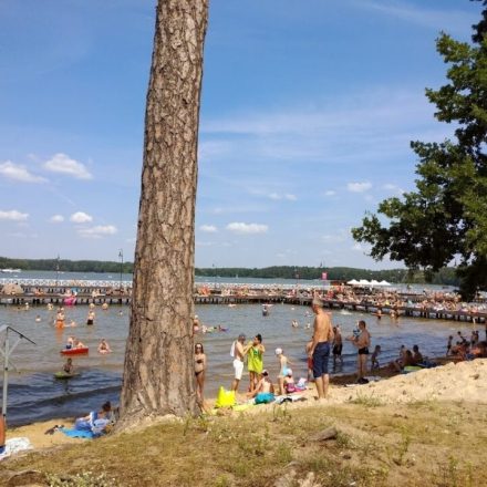 Jezioro Rospuda Augustowska