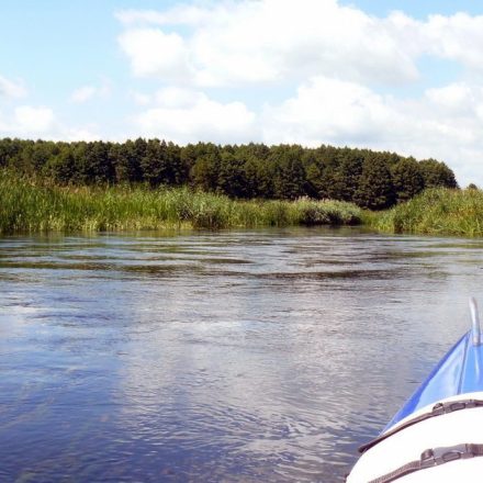 Spływy kajakowe rzeką Biebrzą